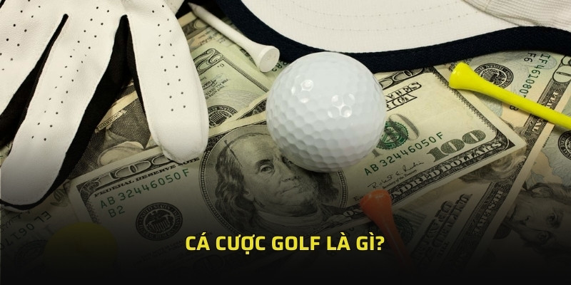 Cá Cược Golf Kịch Tính Với Tỷ Lệ Thưởng Cao Trong Nhiều Giải