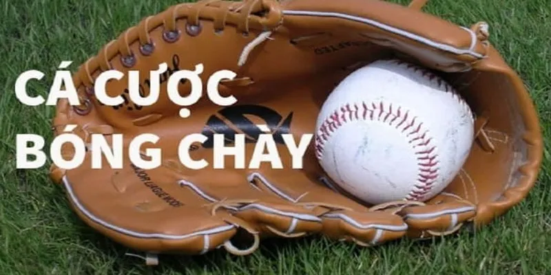 Cá Cược Bóng Chày - Tất Tần Tật Thông Tin Hình Thức Cá Độ
