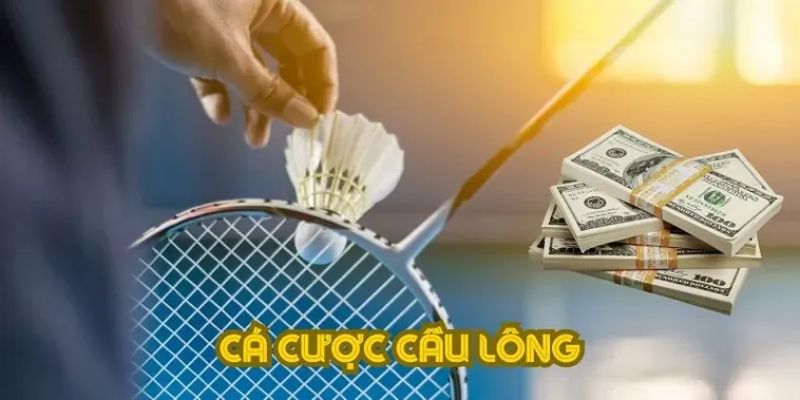 Cá Cược Cầu Lông - Loại Hình Giải Trí Hấp Dẫn Nhất 2026