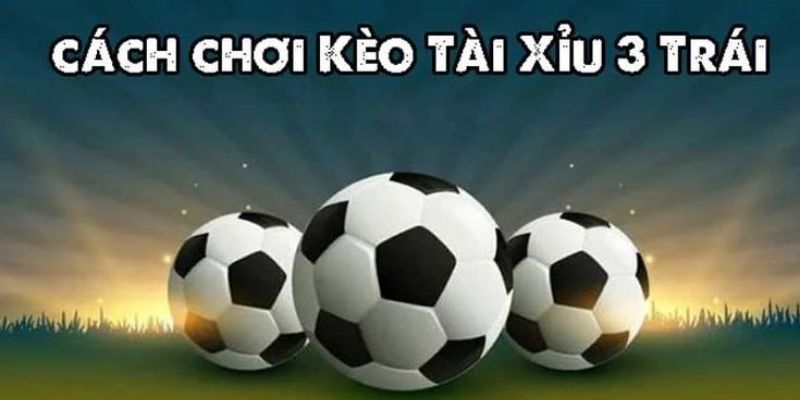 Giải Thích Cách Đọc Tài Xỉu 3 Trái & Bí Kíp Cá Độ Thành Công