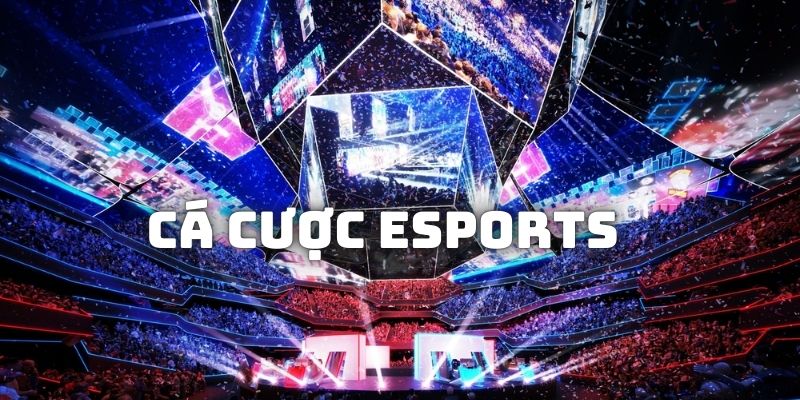 Cá Cược ESports Như Thế Nào Để Dễ Trúng Thưởng Lớn 2026?