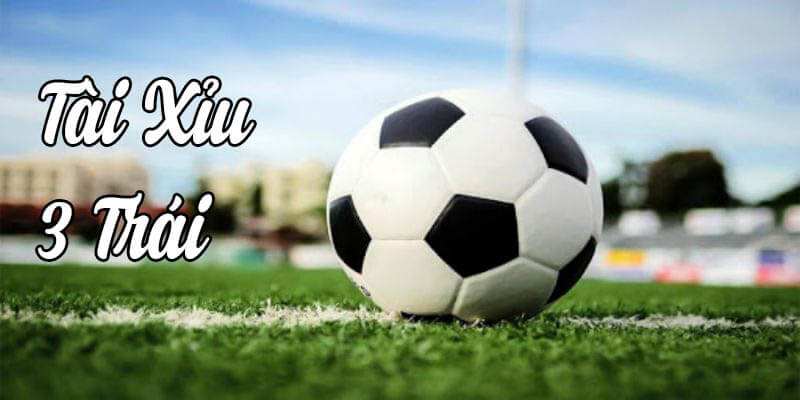 Giải Thích Cách Đọc Tài Xỉu 3 Trái & Bí Kíp Cá Độ Thành Công