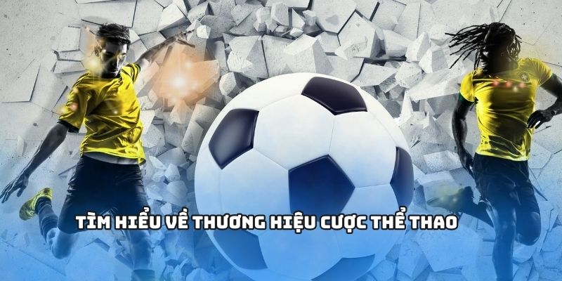 Cá Cược Thể Thao FB88 - Sân Chơi Xanh Chín Uy Tín Hàng Đầu