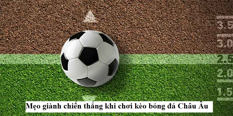 Kèo Châu Âu FB88 - Khám Phá Kiến Thức Nhập Môn Cơ Bản