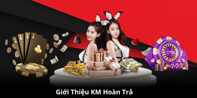 Hoàn Trả Cược Mỗi Ngày Tại FB88 - Ưu Đãi Hấp Dẫn Nhất 2026
