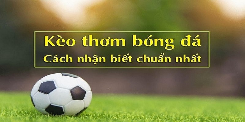 Kèo Thơm Là Gì? Khám Phá Kiến Thức Cần Biết Cùng FB88