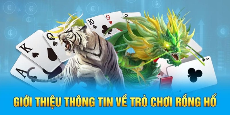 Rồng Hổ FB88 - Cập Nhật Cách Chơi Từ Cơ Bản Đến Nâng Cao