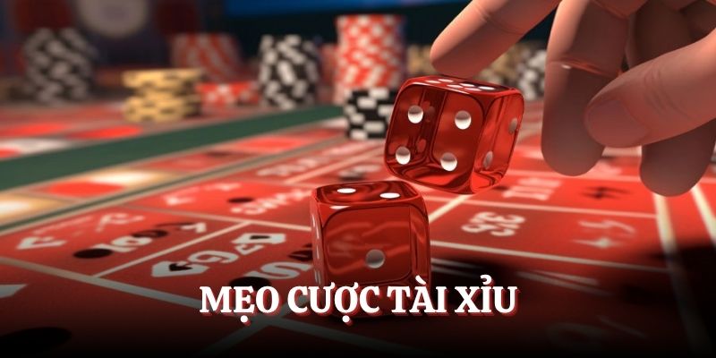 Mẹo Cược Tài Xỉu Tổng Hợp Từ Cao Thủ - Đầu Tư Là Thắng To