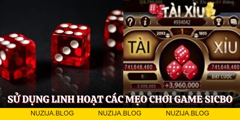 Mẹo Cược Tài Xỉu Tổng Hợp Từ Cao Thủ - Đầu Tư Là Thắng To