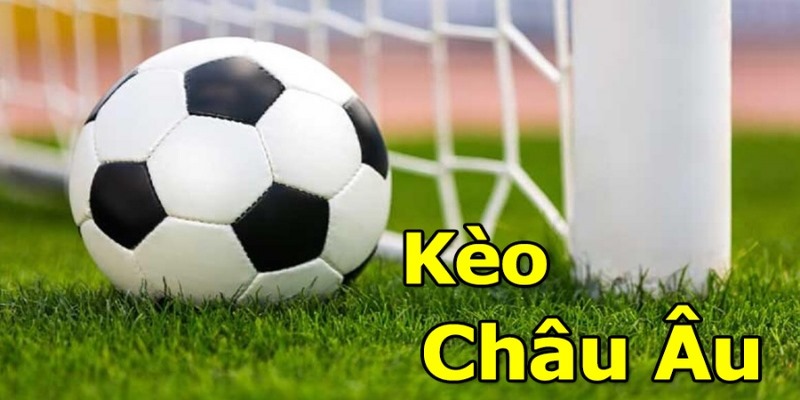 Kèo Châu Âu FB88 - Cẩm Nang Cá Độ Thắng Lớn Cho Tân Binh