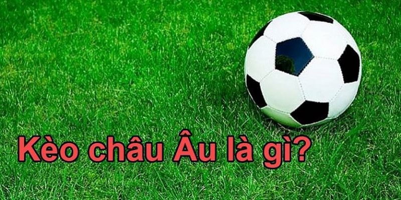 Kèo Châu Âu FB88 - Cẩm Nang Cá Độ Thắng Lớn Cho Tân Binh