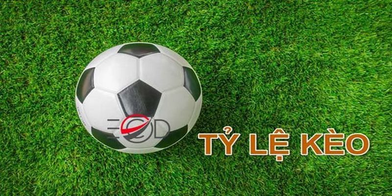 Kèo Bóng Hôm Nay - Những Thông Tin Cần Lưu Ý Khi Tham Gia
