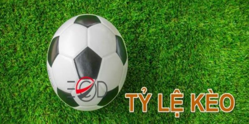 Nhận Định Chi Tiết Tỷ Lệ Kèo 88: PSG Vs Dortmund