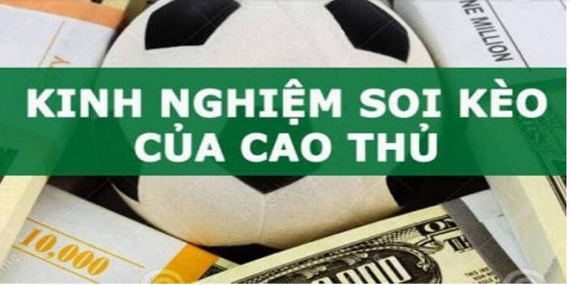 Dự Đoán Soi Kèo Bóng Đá Wap Hôm Nay Tại Giải Đấu VĐQG Brazil