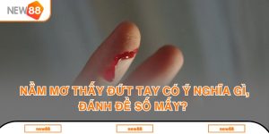 Blog New88 - Cẩm Nang Giải Trí Và Cá Cược Trực Tuyến Hàng Đầu