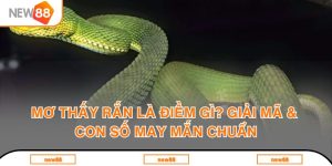 Blog New88 - Cẩm Nang Giải Trí Và Cá Cược Trực Tuyến Hàng Đầu