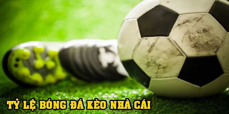 Giới Thiệu Về Tỷ Lệ Kèo Hôm Nay V.League 2026/24