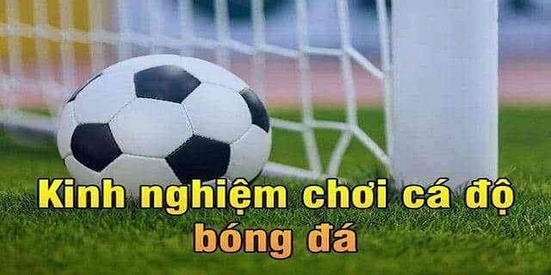 Kèo Châu Á Là Gì? Hướng Dẫn Chơi Kèo Chuẩn Xác Nhất 2026