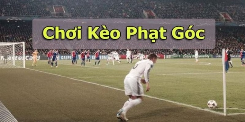 Kèo Phạt Góc - Từ A Đến Z Kiến Thức Người Chơi Cần Biết