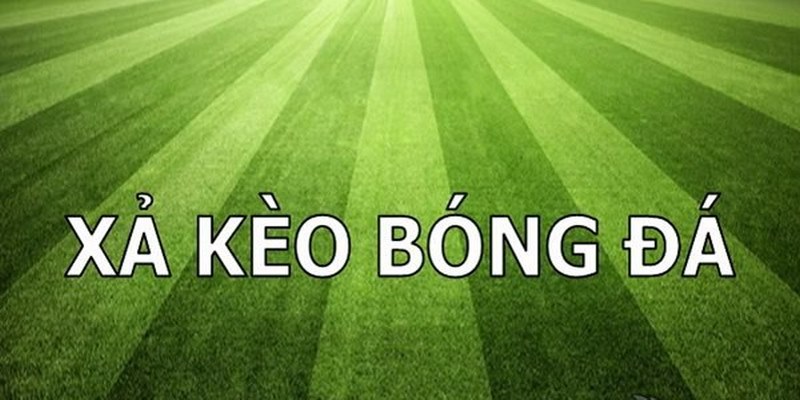 Xả Kèo Là Gì? Cẩm Nang Xả Kèo Bóng Đá Cho Người Mới