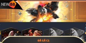 Đá Gà New88 – Sức Hút Từ Trò Chơi Đấu Trường Máu Lửa