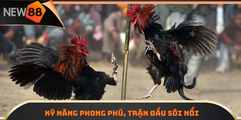 Đá Gà C1 Trực Tiếp Hấp Dẫn Với Hàng Trăm Trận Đấu Mỗi Mùa