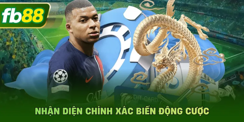 Soi Kèo Vòng Loại World Cup - Đoán Tỷ Lệ Chính Xác Tại FB88