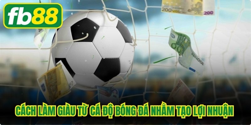 Cách Làm Giàu Từ Cá Độ Bóng Đá - Thực Hư Và Rủi Ro