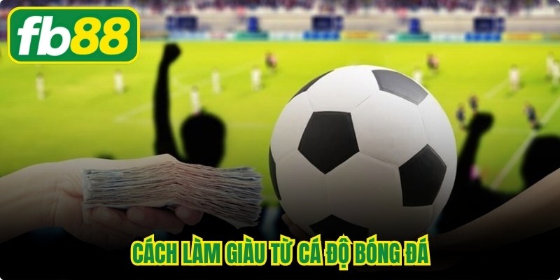 Cách Làm Giàu Từ Cá Độ Bóng Đá - Thực Hư Và Rủi Ro