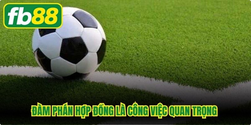 Cò Bóng Đá Là Gì? Vai Trò Chính Và Công Việc Hiện Nay