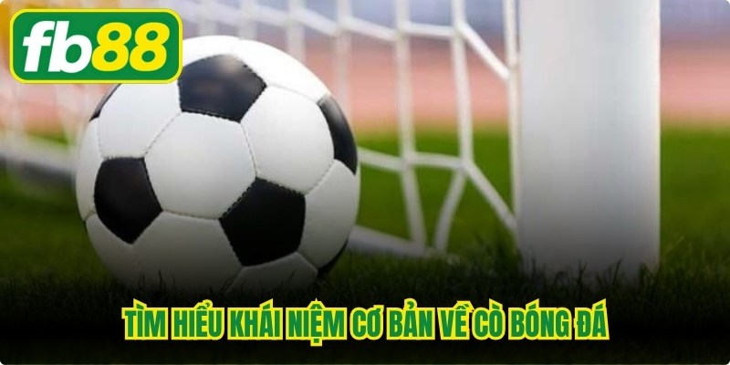 Cò Bóng Đá Là Gì? Vai Trò Chính Và Công Việc Hiện Nay