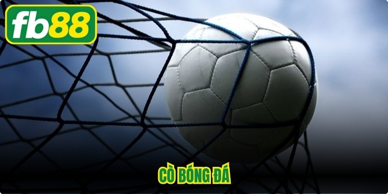 Cò Bóng Đá Là Gì? Vai Trò Chính Và Công Việc Hiện Nay