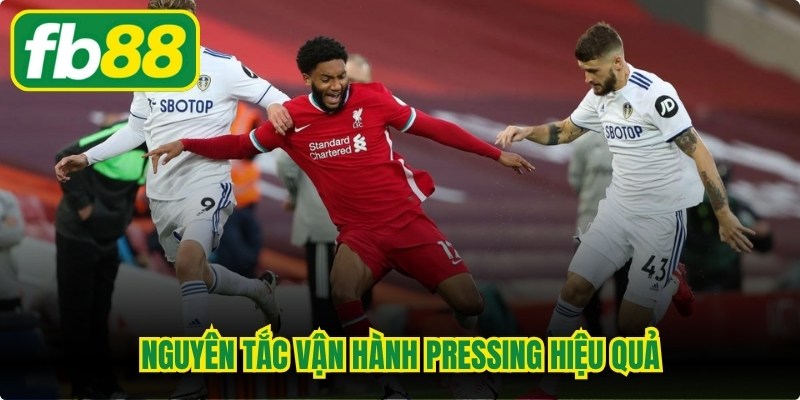 Pressing Là Gì? Hiểu Đúng Chiến Thuật Bóng Đá Hiện Đại