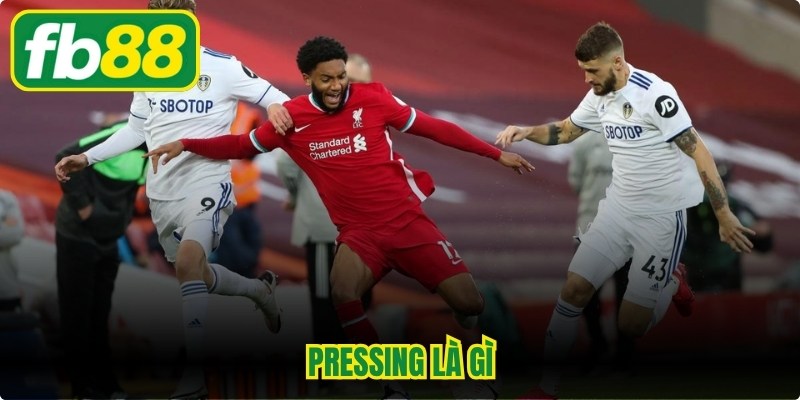 Pressing Là Gì? Hiểu Đúng Chiến Thuật Bóng Đá Hiện Đại