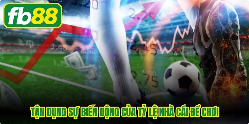 Kèo Lựa Là Gì - Bí Quyết Soi Cược Tinh Mắt Thắng Lớn
