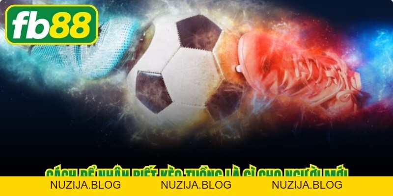 Kèo Tuồng Là Gì - Cách Né Tránh Sai Lầm Khi Chơi Cho Bạn