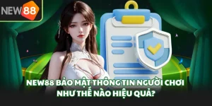 Blog New88 - Cẩm Nang Giải Trí Và Cá Cược Trực Tuyến Hàng Đầu