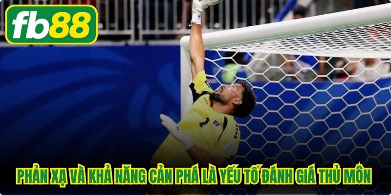 Thủ Môn Vĩ Đại Nhất Thế Giới - Điểm Danh Các Huyền Thoại
