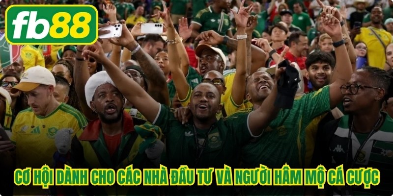 World Cup 2026 Có Bao Nhiêu Đội Tham Dự Thi Đấu