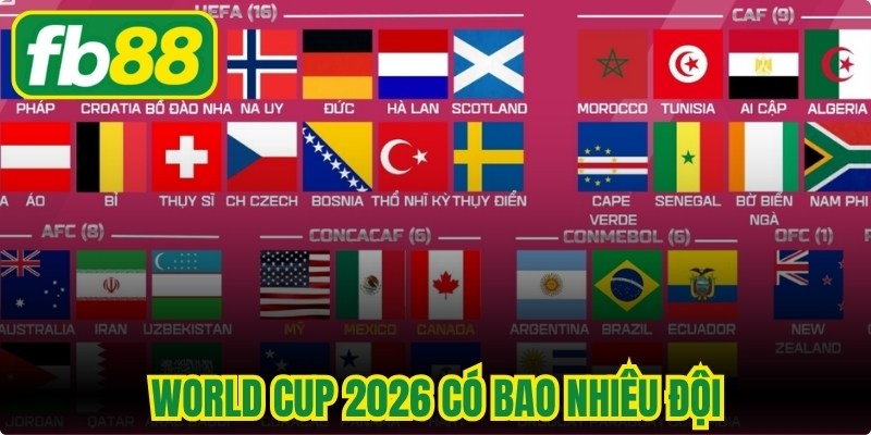 World Cup 2026 Có Bao Nhiêu Đội Tham Dự Thi Đấu