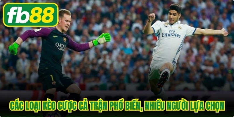 Kèo Cược Cả Trận - Cách Đọc Kèo Và Hiểu Tỷ Lệ Chuẩn Xác