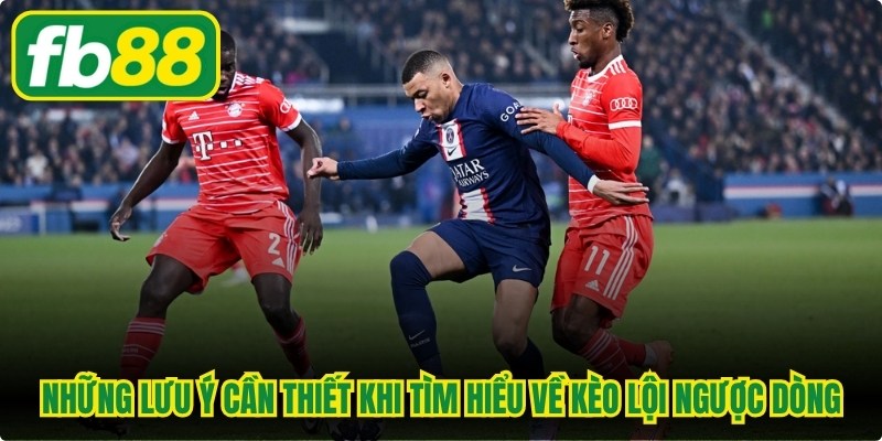 Kèo Lội Ngược Dòng Và Những Điều Quan Trọng Cần Biết
