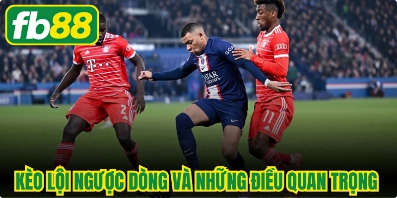Kèo Lội Ngược Dòng Và Những Điều Quan Trọng Cần Biết
