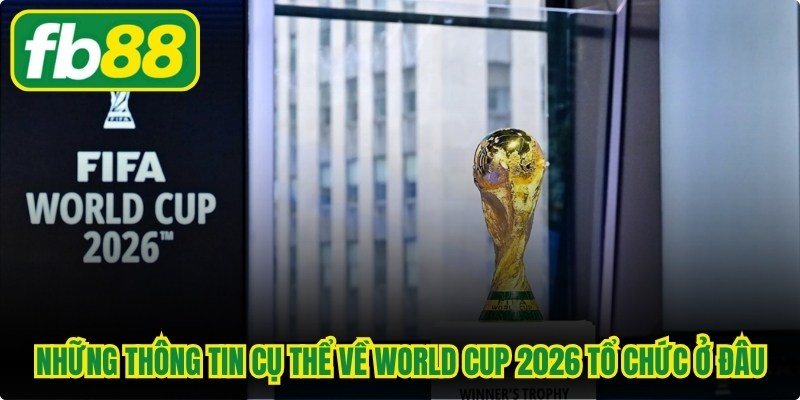 World Cup 2026 Tổ Chức Ở Đâu? Cập Nhật Thông Tin Mới Nhất