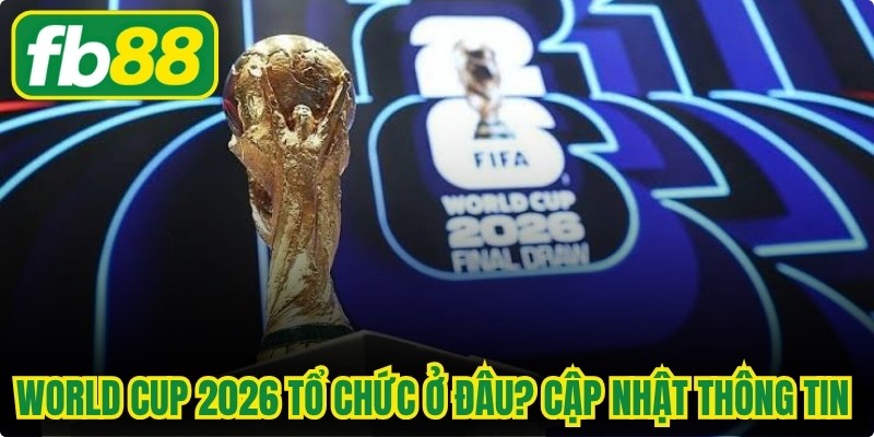 World Cup 2026 Tổ Chức Ở Đâu? Cập Nhật Thông Tin Mới Nhất