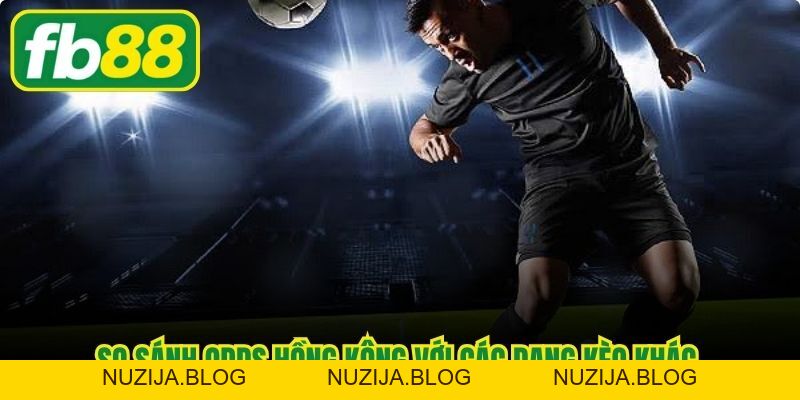 Tỷ Lệ Cược Hồng Kông - Cách Đọc Và Mẹo Chơi Thắng Lớn