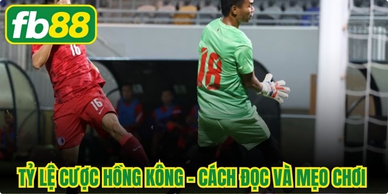 Tỷ Lệ Cược Hồng Kông - Cách Đọc Và Mẹo Chơi Thắng Lớn
